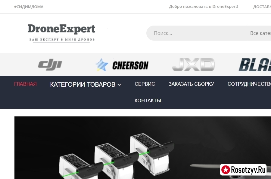 drone-expert.ru